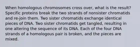 When homologous chromosomes cross over, what is the result? Specific proteins break the two strands of nonsister chromatids and re-join them. Two sister chromatids exchange identical pieces of DNA. Two sister chromatids get tangled, resulting in one altering the sequence of its DNA. Each of the four DNA strands of a homologous pair is broken, and the pieces are mixed.