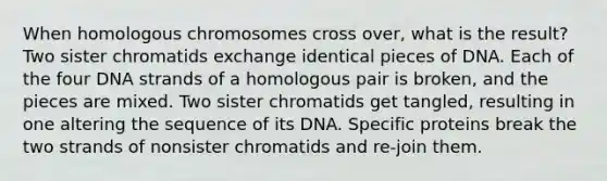 When homologous chromosomes cross over, what is the result? Two sister chromatids exchange identical pieces of DNA. Each of the four DNA strands of a homologous pair is broken, and the pieces are mixed. Two sister chromatids get tangled, resulting in one altering the sequence of its DNA. Specific proteins break the two strands of nonsister chromatids and re-join them.