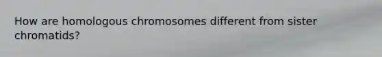 How are homologous chromosomes different from sister chromatids?