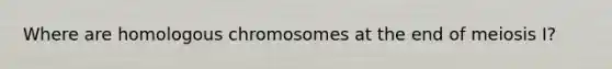 Where are homologous chromosomes at the end of meiosis I?