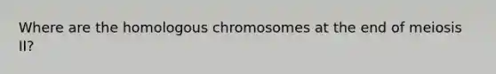 Where are the homologous chromosomes at the end of meiosis II?