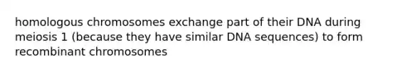 homologous chromosomes exchange part of their DNA during meiosis 1 (because they have similar DNA sequences) to form recombinant chromosomes
