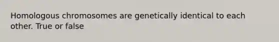 Homologous chromosomes are genetically identical to each other. True or false