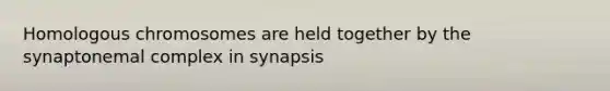 Homologous chromosomes are held together by the synaptonemal complex in synapsis