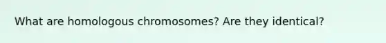 What are homologous chromosomes? Are they identical?