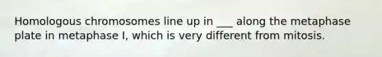 Homologous chromosomes line up in ___ along the metaphase plate in metaphase I, which is very different from mitosis.