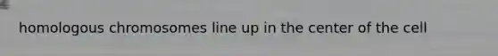 homologous chromosomes line up in the center of the cell
