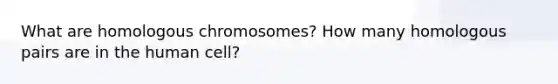 What are homologous chromosomes? How many homologous pairs are in the human cell?