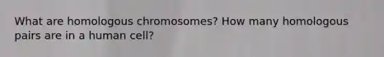 What are homologous chromosomes? How many homologous pairs are in a human cell?