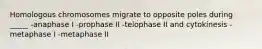 Homologous chromosomes migrate to opposite poles during _____ -anaphase I -prophase II -telophase II and cytokinesis -metaphase I -metaphase II