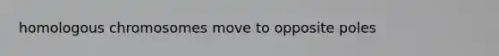 homologous chromosomes move to opposite poles