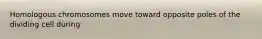 Homologous chromosomes move toward opposite poles of the dividing cell during