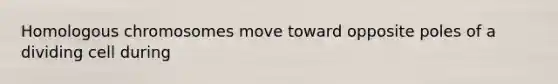 Homologous chromosomes move toward opposite poles of a dividing cell during