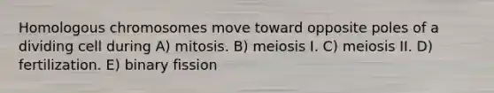 Homologous chromosomes move toward opposite poles of a dividing cell during A) mitosis. B) meiosis I. C) meiosis II. D) fertilization. E) binary fission