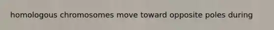 homologous chromosomes move toward opposite poles during
