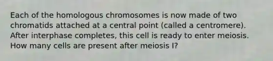 Each of the homologous chromosomes is now made of two chromatids attached at a central point (called a centromere). After interphase completes, this cell is ready to enter meiosis. How many cells are present after meiosis I?