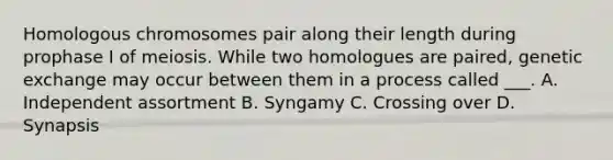 Homologous chromosomes pair along their length during prophase I of meiosis. While two homologues are paired, genetic exchange may occur between them in a process called ___. A. Independent assortment B. Syngamy C. Crossing over D. Synapsis