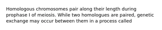 Homologous chromosomes pair along their length during prophase I of meiosis. While two homologues are paired, genetic exchange may occur between them in a process called