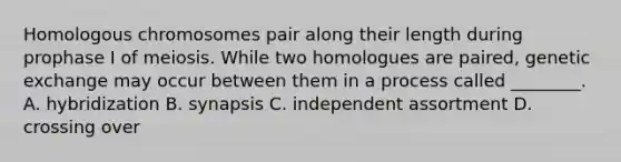 Homologous chromosomes pair along their length during prophase I of meiosis. While two homologues are paired, genetic exchange may occur between them in a process called ________. A. hybridization B. synapsis C. independent assortment D. crossing over