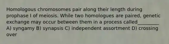 Homologous chromosomes pair along their length during prophase I of meiosis. While two homologues are paired, genetic exchange may occur between them in a process called_________ A) syngamy B) synapsis C) independent assortment D) crossing over