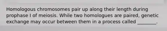 Homologous chromosomes pair up along their length during prophase I of meiosis. While two homologues are paired, genetic exchange may occur between them in a process called ________.