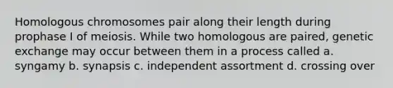 Homologous chromosomes pair along their length during prophase I of meiosis. While two homologous are paired, genetic exchange may occur between them in a process called a. syngamy b. synapsis c. independent assortment d. crossing over