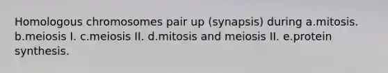 Homologous chromosomes pair up (synapsis) during a.mitosis. b.meiosis I. c.meiosis II. d.mitosis and meiosis II. e.protein synthesis.