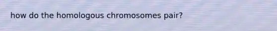 how do the homologous chromosomes pair?