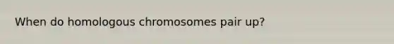 When do homologous chromosomes pair up?