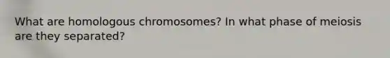 What are homologous chromosomes? In what phase of meiosis are they separated?