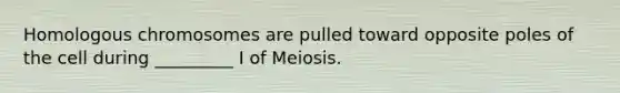 Homologous chromosomes are pulled toward opposite poles of the cell during _________ I of Meiosis.