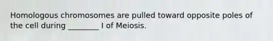 Homologous chromosomes are pulled toward opposite poles of the cell during ________ I of Meiosis.