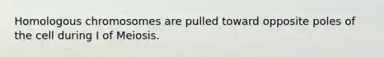 Homologous chromosomes are pulled toward opposite poles of the cell during I of Meiosis.