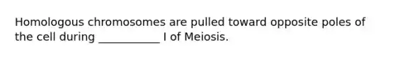 Homologous chromosomes are pulled toward opposite poles of the cell during ___________ I of Meiosis.