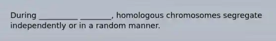 During __________ ________, homologous chromosomes segregate independently or in a random manner.