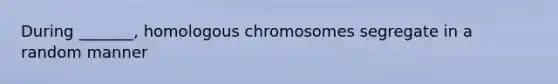 During _______, homologous chromosomes segregate in a random manner