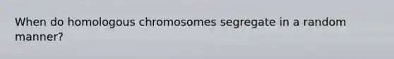 When do homologous chromosomes segregate in a random manner?