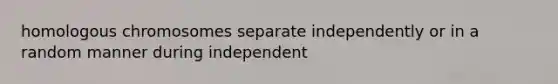 homologous chromosomes separate independently or in a random manner during independent