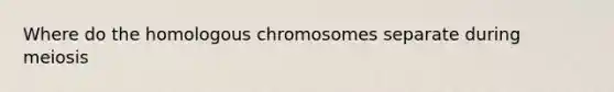 Where do the homologous chromosomes separate during meiosis