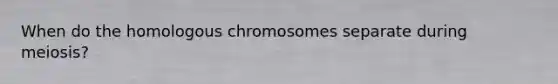 When do the homologous chromosomes separate during meiosis?