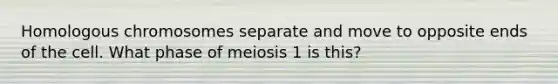 Homologous chromosomes separate and move to opposite ends of the cell. What phase of meiosis 1 is this?