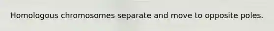 Homologous chromosomes separate and move to opposite poles.