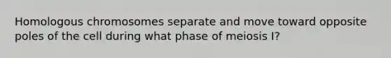 Homologous chromosomes separate and move toward opposite poles of the cell during what phase of meiosis I?