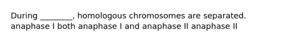 During ________, homologous chromosomes are separated. anaphase I both anaphase I and anaphase II anaphase II