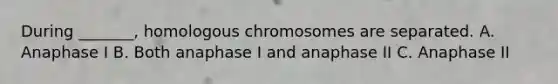 During _______, homologous chromosomes are separated. A. Anaphase I B. Both anaphase I and anaphase II C. Anaphase II