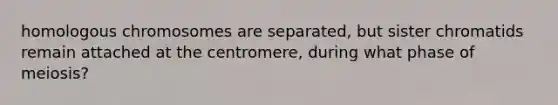 homologous chromosomes are separated, but sister chromatids remain attached at the centromere, during what phase of meiosis?