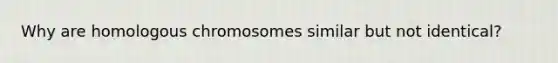 Why are homologous chromosomes similar but not identical?