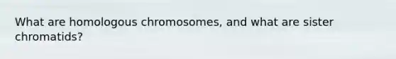 What are homologous chromosomes, and what are sister chromatids?