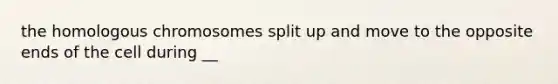 the homologous chromosomes split up and move to the opposite ends of the cell during __