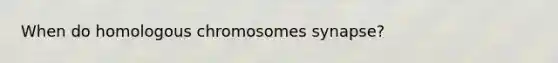 When do homologous chromosomes synapse?